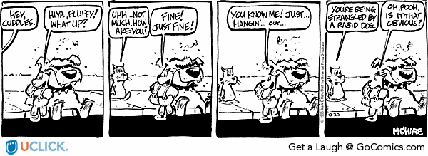 citizendog